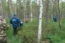 выкса.рф, 🌲 В Выксе спасли четырёх детей, заблудившихся в лесу